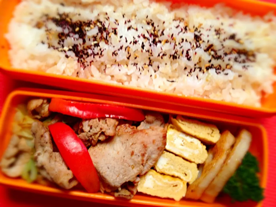 野菜炒めオイスターソース 11/27お弁当|Pecoさん