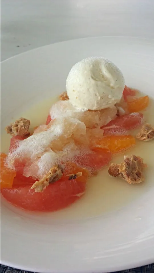 Chilled Grapefruit & Tangerine Salad with Olive Oil Ice Cream & Cashew Cookies|Debbieさん