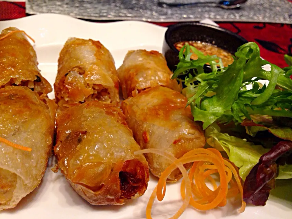 Vegetarian Spring Roll|sgさん