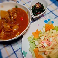 Snapdishの料理写真:カレーライスとマカロニサラダ|はんにゃたろうさん