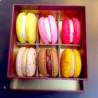 Macaroons|Charlton Lajaraさん