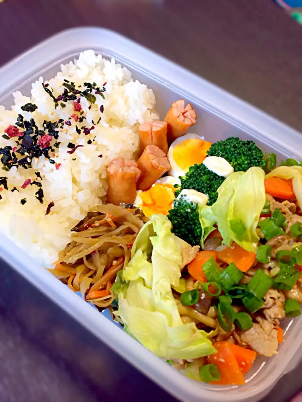 がっつりお弁当☆|Naaさん