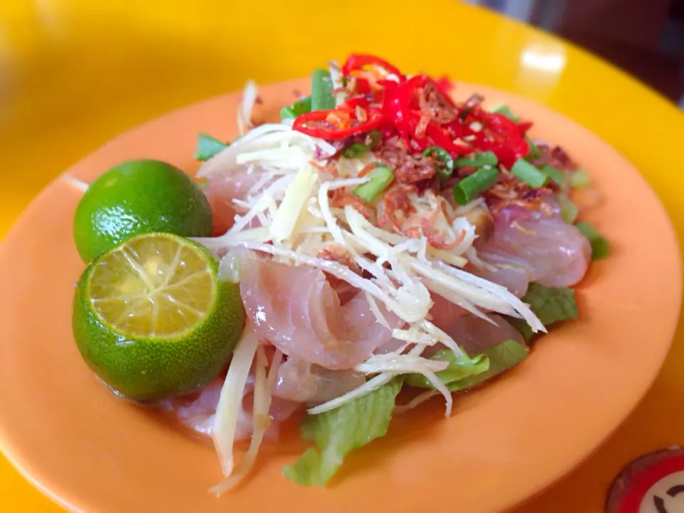 Raw fish salad|willzさん