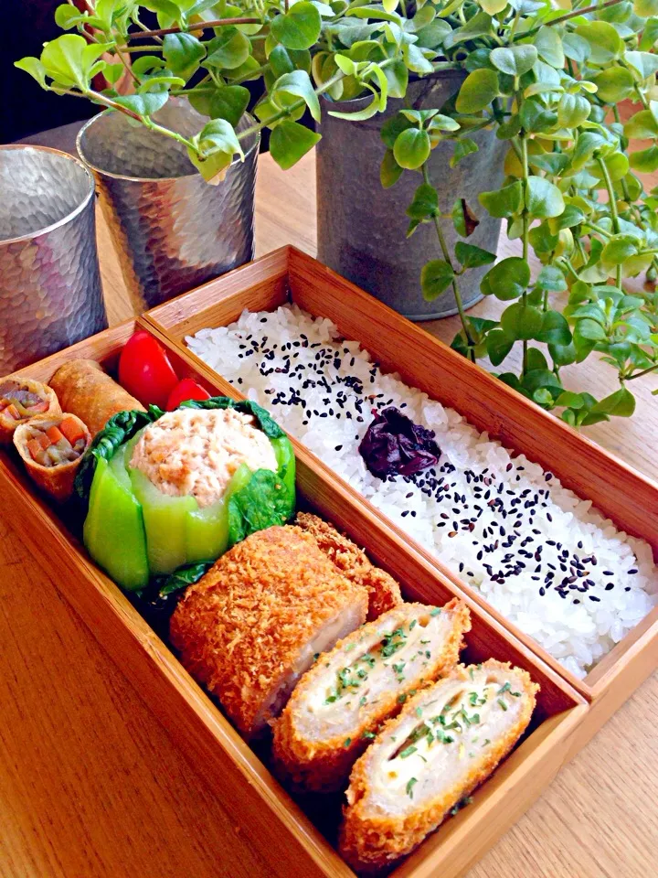 ⚫︎チーズチキンカツ⚫︎青梗菜のツナマヨオニオン詰め⚫︎きんぴらゴボウの春巻き⚫︎赤ジソご飯|Obentocafeさん