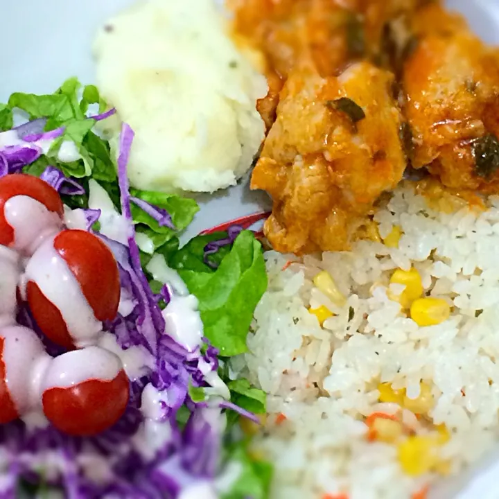 Snapdishの料理写真:Janta de hoje arroz, frango ao molho, purê de batata e salada - 晩ご飯|Hérica Yamasumiさん