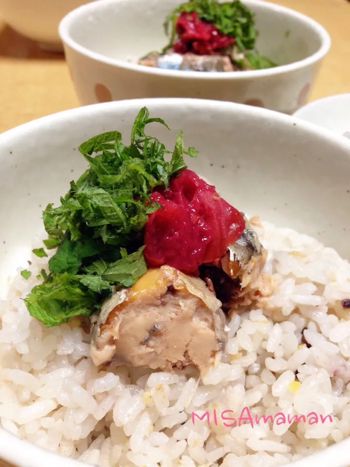 サバ缶で丼どり♥️お茶漬け|みさmamanさん