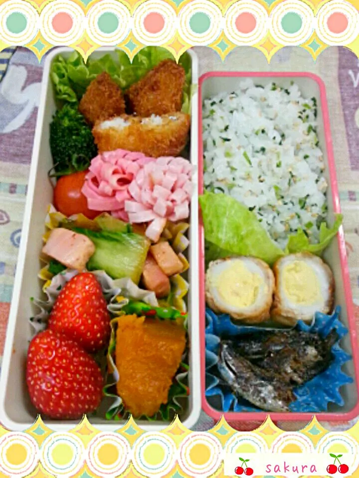 白身魚のフライ弁当|桜里さん