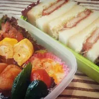 Snapdishの料理写真:息子の遠足！弁当(*^^*)|まえださん