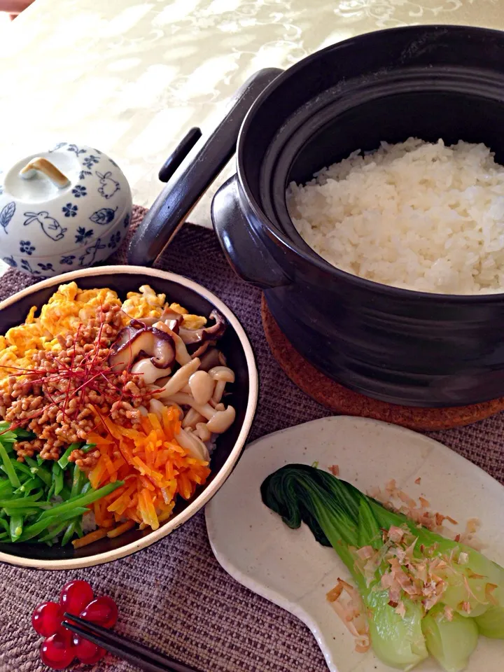 Snapdishの料理写真:土鍋ご飯＆石焼ビビンバ風丼＆チンゲン菜のお浸し|デミさん