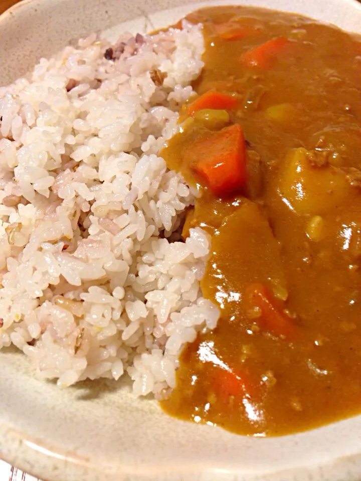 ひき肉のカレーが無性に食べたくなった(*´ｗ｀*)|さくたえさん