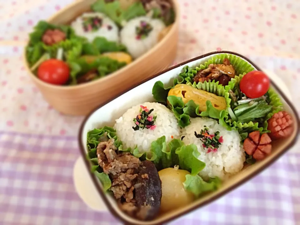 12月5日 肉じゃがと水菜とシーチキンサラダのお弁当|かとっちみゆさん