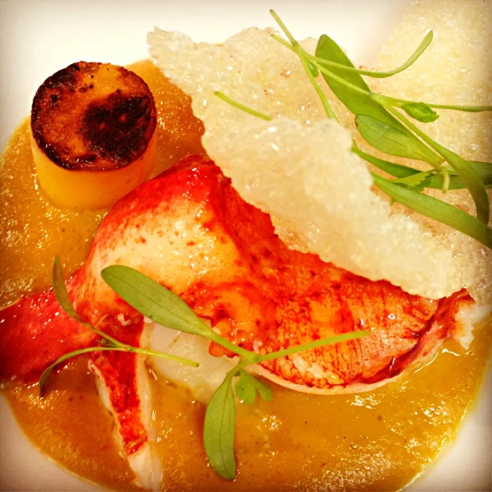 Poached lobster, butternut squash, vanilla curry, tapioca crisp|andrew franciscoさん