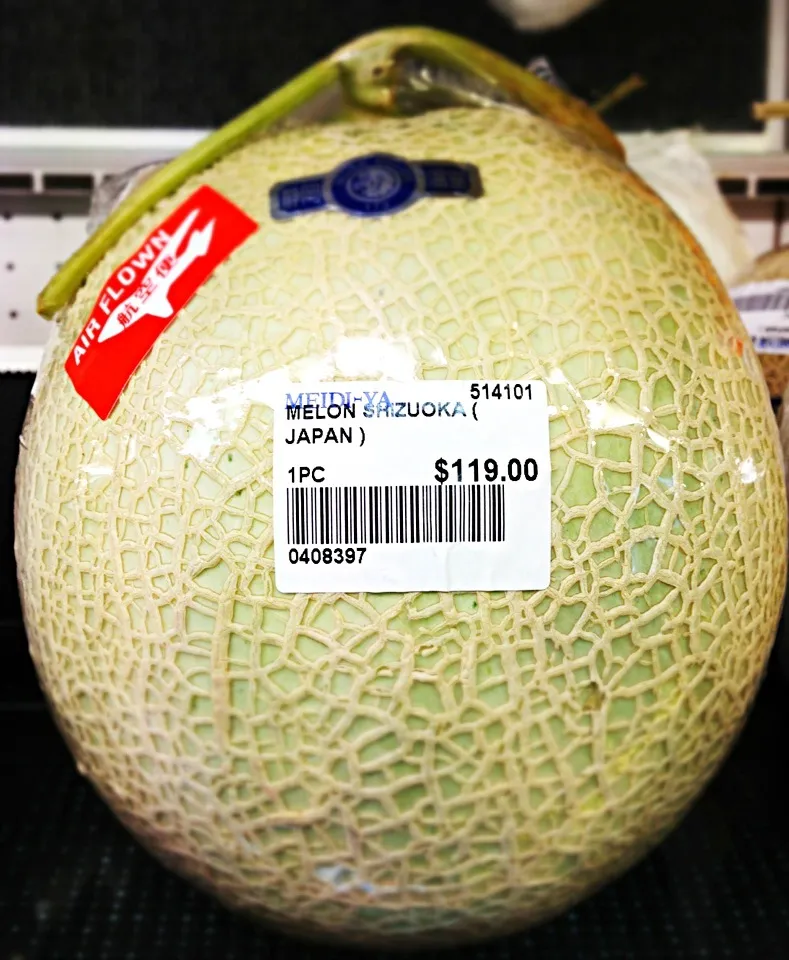 The same melon that retails for $40+ in Japan sells for 3X the price in Sg|coxiella24さん