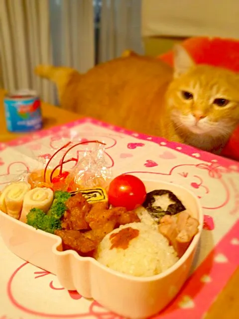 Snapdishの料理写真:二女の社会科見学弁当|うさかめさん