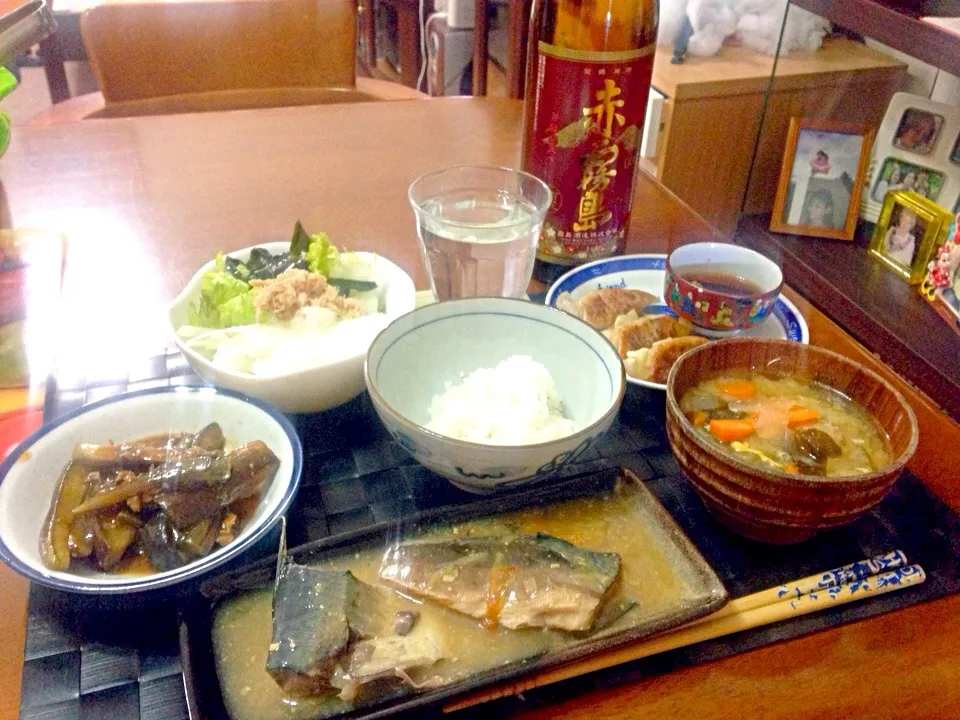 Snapdishの料理写真:鯖味噌🐟&麻婆茄子🍆|マニラ男さん