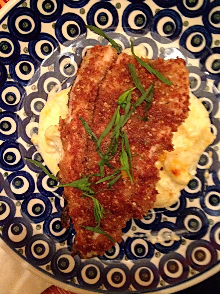 pecan tarragon missouri trout, cauliflower gratin|Matthew Cashenさん