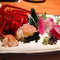 伊勢海老と新鮮な魚のお刺身|伊世有里さん