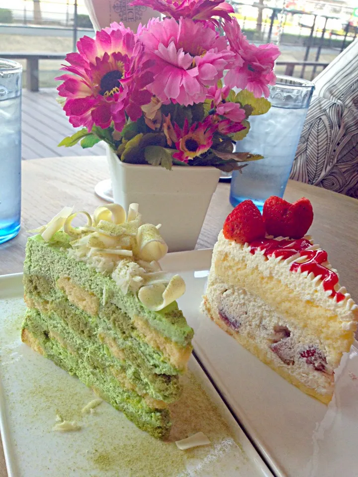 Green tea cake & strawberry short cake|Erika Iijimaさん