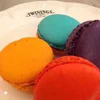 Macaroons|Erika Iijimaさん