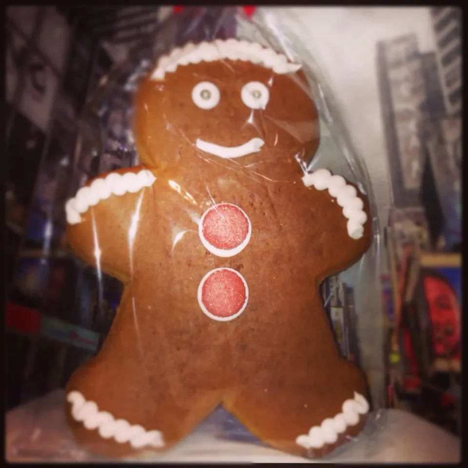 GingerBreadMan|Sara Derudiさん