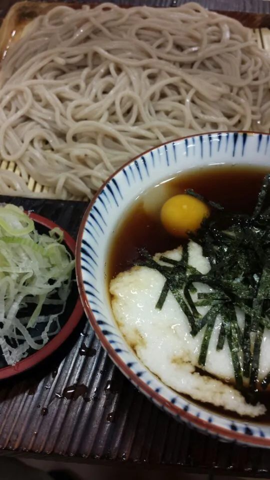 【小田原 箱根そば】とろろ蕎麦 駅の立ち食いも、新宿で食べるより小田原で食べた方がうまく感じる！一緒だけど|うめロクさん