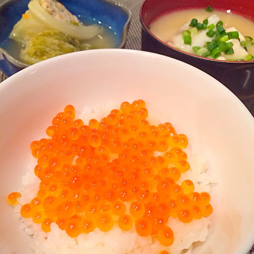 いくら丼|めぐさん