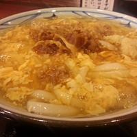 肉玉あんかけうどん (大)