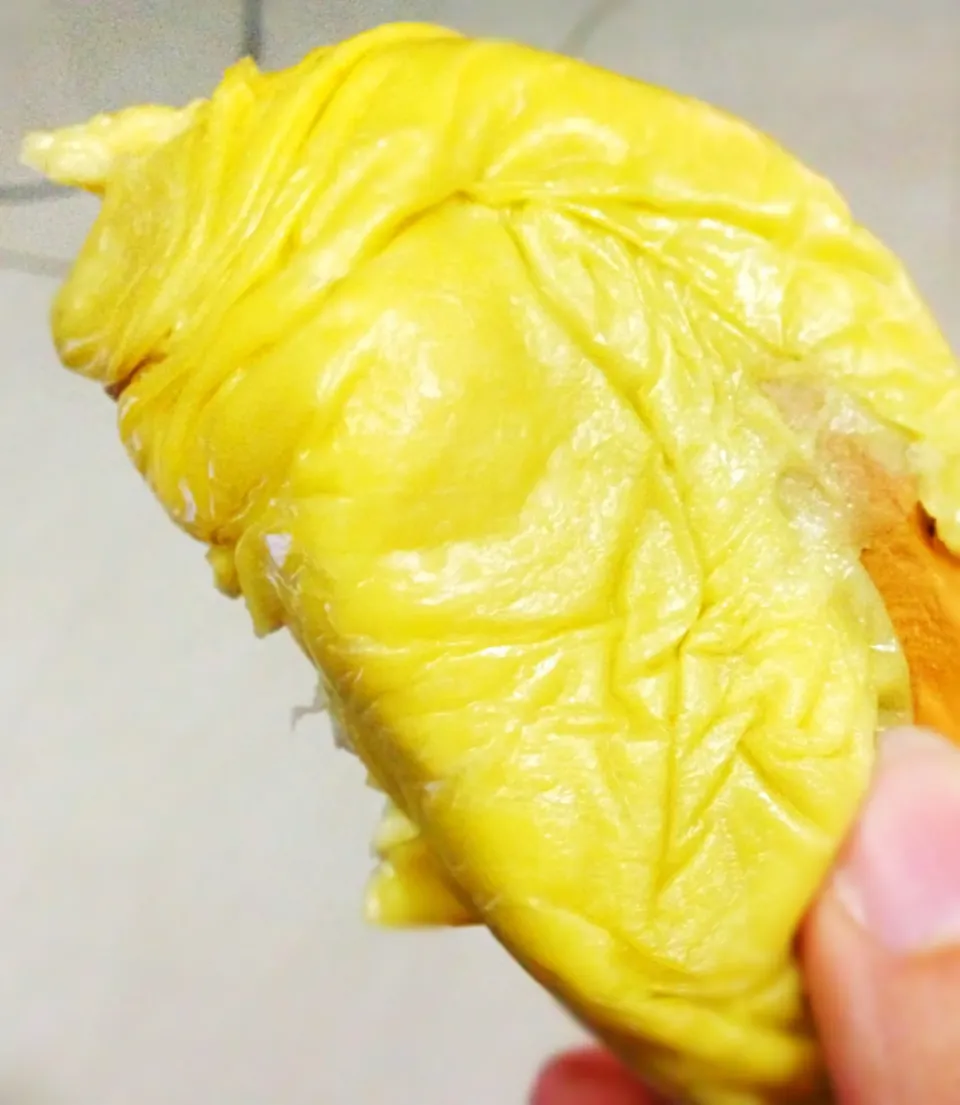 Durian - love it or hate it|coxiella24さん