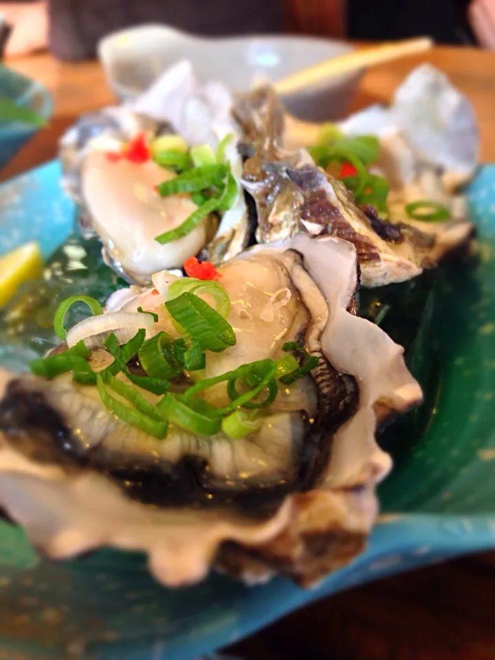 In Jpn, autumn is the season for various seafoods! Succulent oysters from Nichinan town|YvoMiwaさん