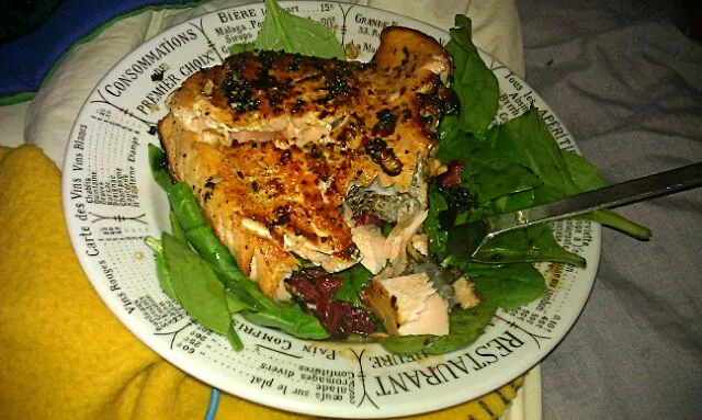 salmon and spinach salad with balsamic and dried cranberries|maia wさん