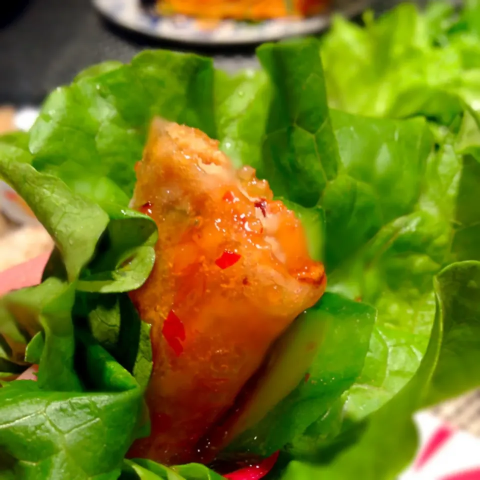 おから揚げ春巻き巻サラダ|RIESMOさん