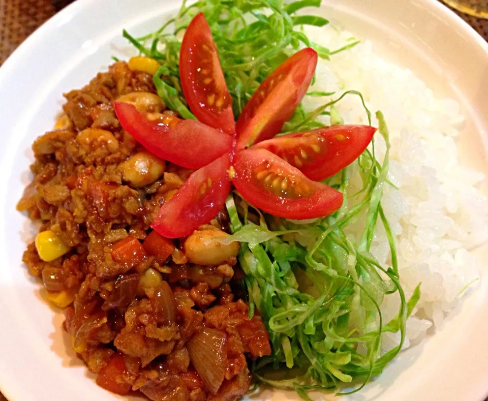 高野豆腐＆大豆ドライカレー٩(◜ᴗ◝ )۶ 気分はヘルシー♪|ランランらぁ〜んさん