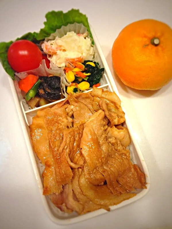 Snapdishの料理写真:焼肉弁当|yuさん