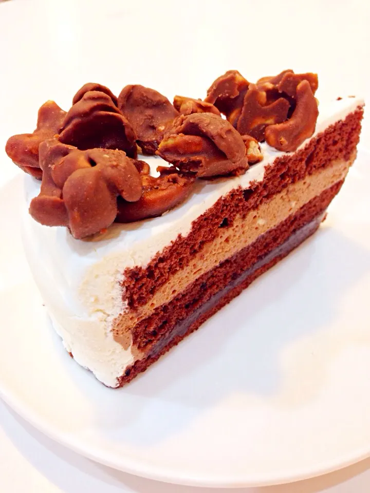 Nutella Cocoa Crunch Cake|Aomさん