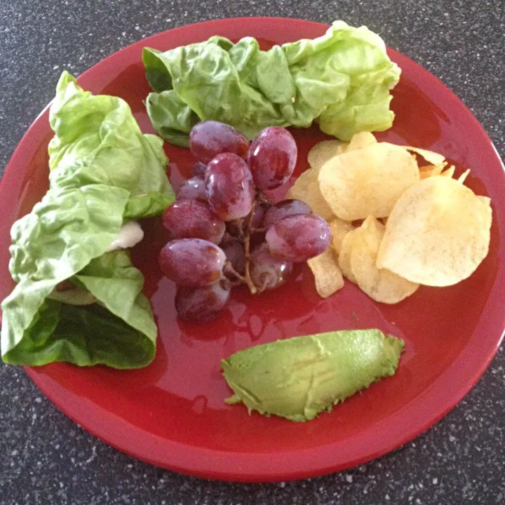 Zone Diet Lunch-turkey/cheese wraps, avocado and grapes.|Tracy Francesさん