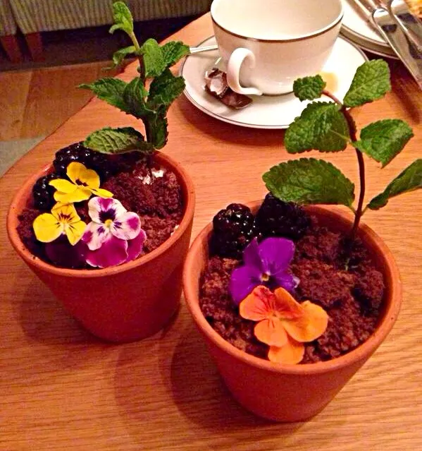 Flower Pot Ice Cream with Brownie|chef baobao from Singaporeさん