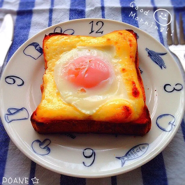 ラピュタパン♡|ポァン◡̈*❤︎さん