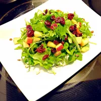 Spring Mix salad|Christie Ronaldineさん