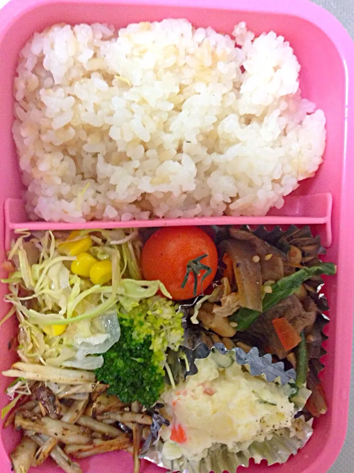 Snapdishの料理写真:毎日弁当|Tae Takakiさん