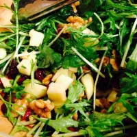 Green Salad with Apples, Walnuts and Cranberries with Mustard & Orange dressing..|Janet Quekさん