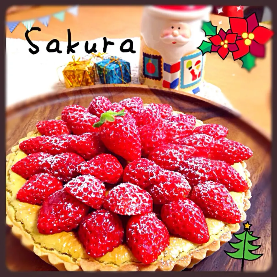 チーズケーキタルト🍓のせ|さくちんさん