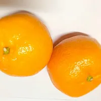 Nepalese orange|tejindra upretiさん