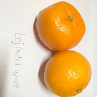 Galkot Charudi orange|tejindra upretiさん