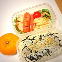 Snapdishの料理写真:シラスご飯弁当|yuさん