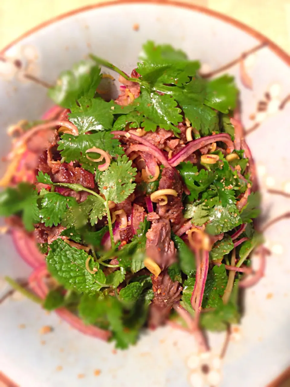 Neua Naam Tok - Beef Lemongrass Salad|Leo D.さん