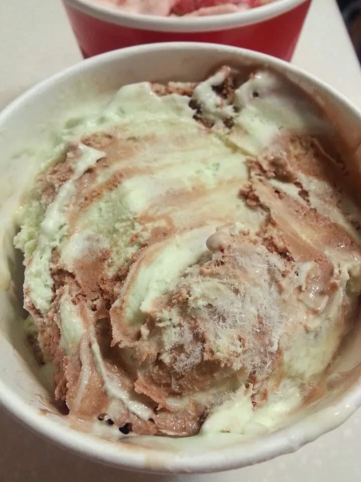 Snapdishの料理写真:MintChoco Icecream@^^@|천수빈さん