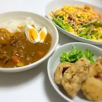 カレーライス♪赤魚の唐揚げ♪サラダ〜|むーみんさん