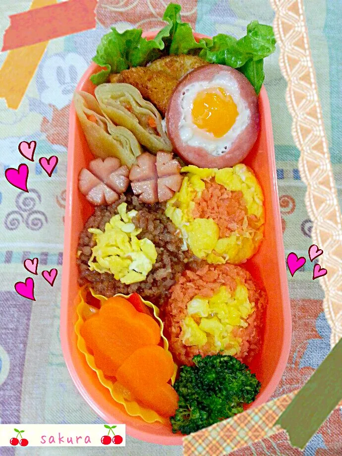 そぼろのコロコロおにぎり弁当|桜里さん