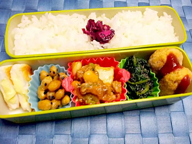 2013.12.18
旦那お弁当(*^^*)|さやさん