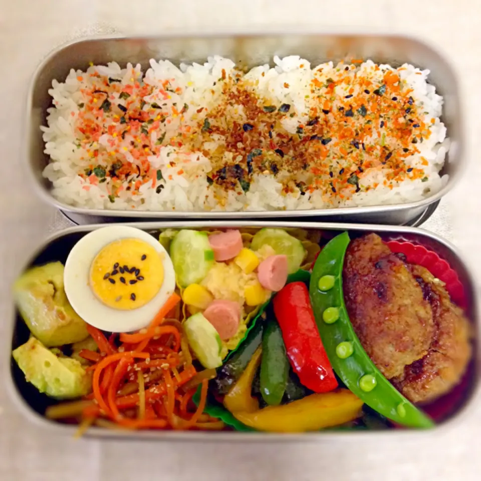 Snapdishの料理写真:ハンバーグ弁当☆|パピヨン☆さん